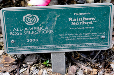sign: Rainbow Sorbet
